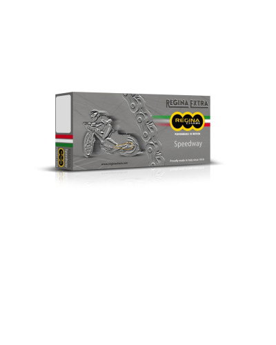 Regina ланцюг привідний 520ebs-oro (96 звено) speedway do 500 ccm золотий (застібка) (135ebsoro/00e) (без уплотнительных колец)
