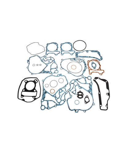 Xradical (artein gaskets) набір прокладок aprilia sport city one 125 '08-'10 , derbi boulevard 125 eu3, peugeot looxor 125 '02-'03 , piaggio liberty 125 4t , vespa lx / lxv 125 , zip 125 4t (leader)