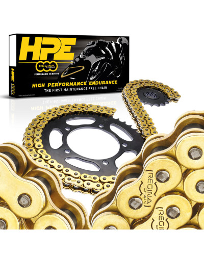 Regina цепь приводная 525hpe (122 звенаa) z-ring supersport / эндуро bezobsługowy золотой заклепка (137hpe/1008)