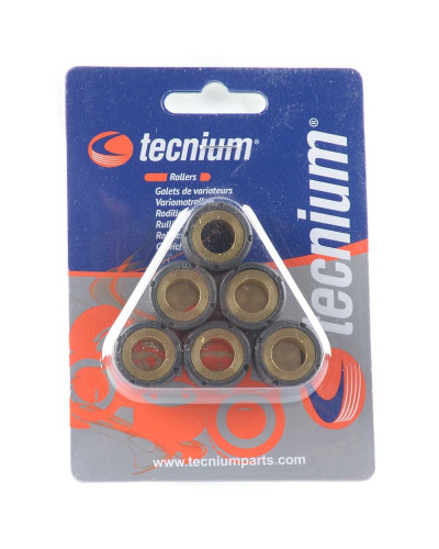 Tecnium (vicma) ролики вариатора 19x15 9g 6 штук. (4169)