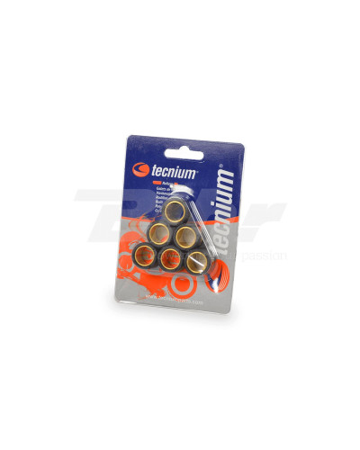 Tecnium (vicma) ролики вариатора 16x13mm 7g 6 штук (3922)