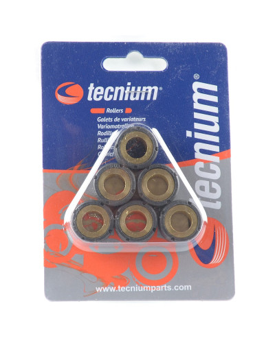 Tecnium (vicma) ролики вариатора 16x13mm 6,5g 6 штук (3921)