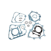 Xradical (artein gaskets) набір прокладок kymco people s 250 / s i 250 '06-'07 , x-citing 250 / 250 i '05-'07